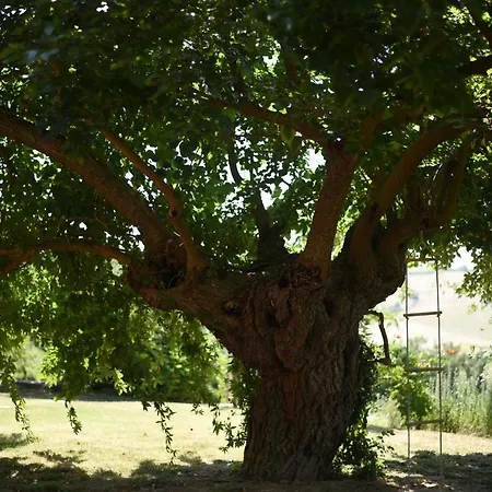 Casa Vacanze Ortobene Σπίτι διακοπών